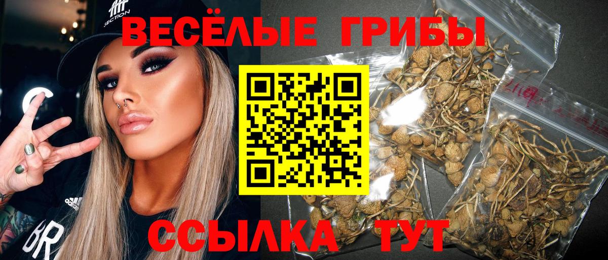 Артёмовский  Псилоцибиновые грибы Psilocybe  Вход с VPN 